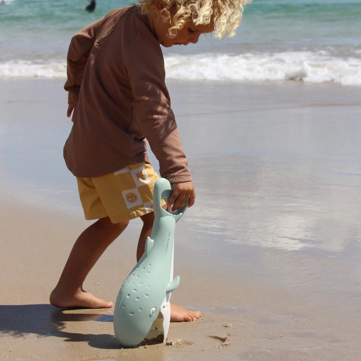 صني لايف - ساند كلوز | أخضر الحوت