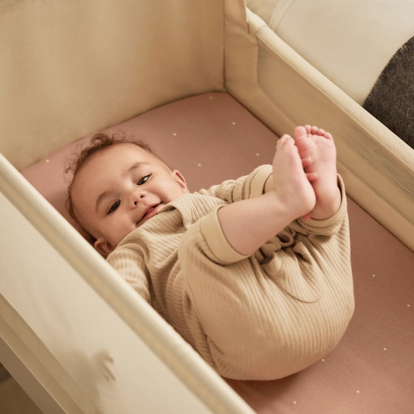 Snuz - SnuzPod5 Bedside Crib | Cashmere