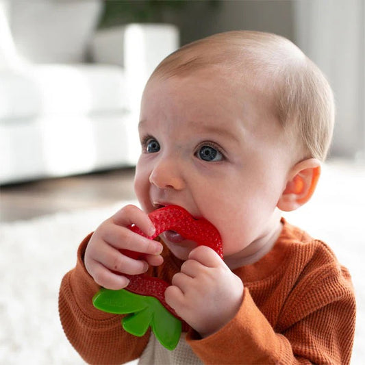 Dr. Brown's - AquaCool Water-Filled Teether Apple 3m+ — BambiniJO Jordan