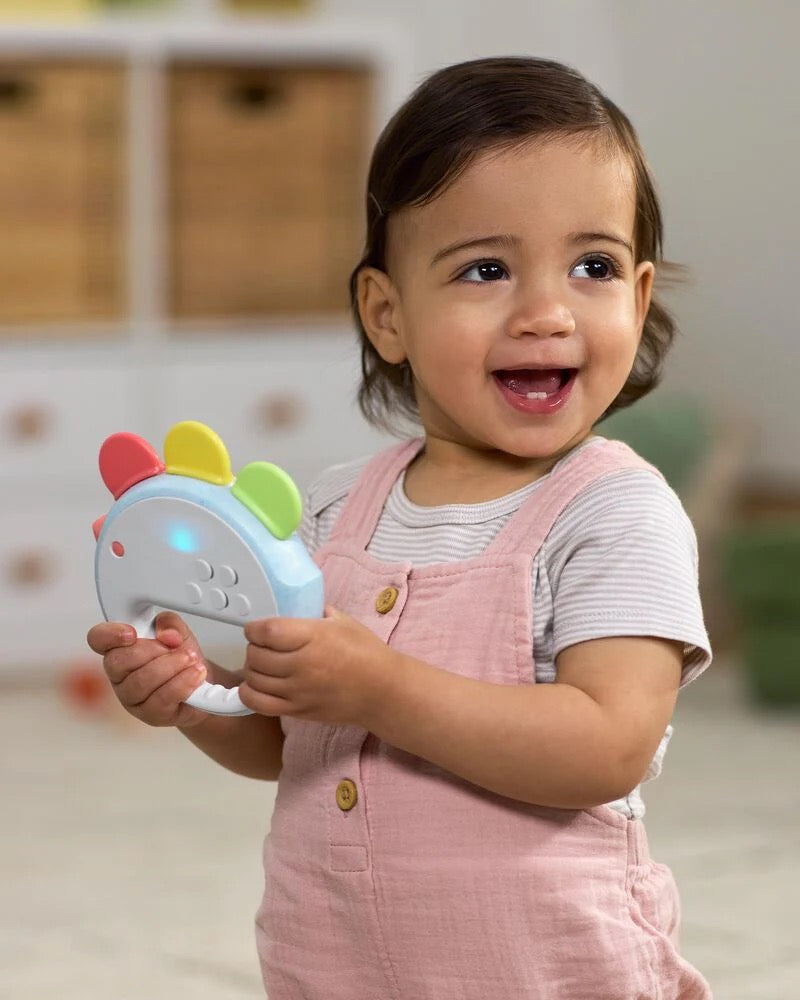Skip Hop - Farmstand Feelin' Clucky Musical Tambourine Baby Toy