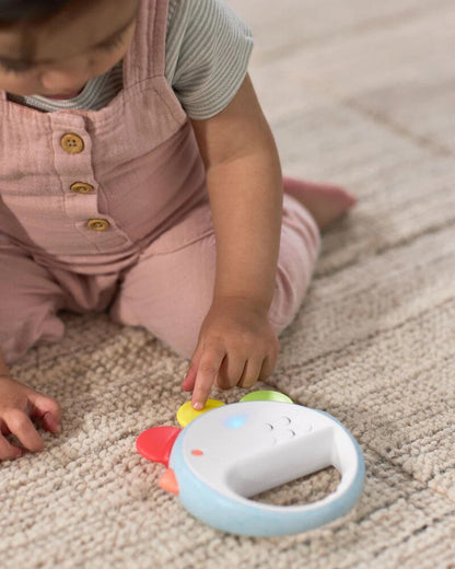 Skip Hop - Farmstand Feelin' Clucky Musical Tambourine Baby Toy