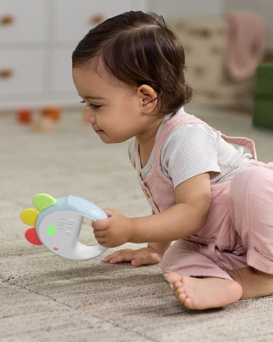 Skip Hop Farmstand Feelin' Clucky Musical Tambourine Baby Toy 9M+ — BambiniJO Jordan