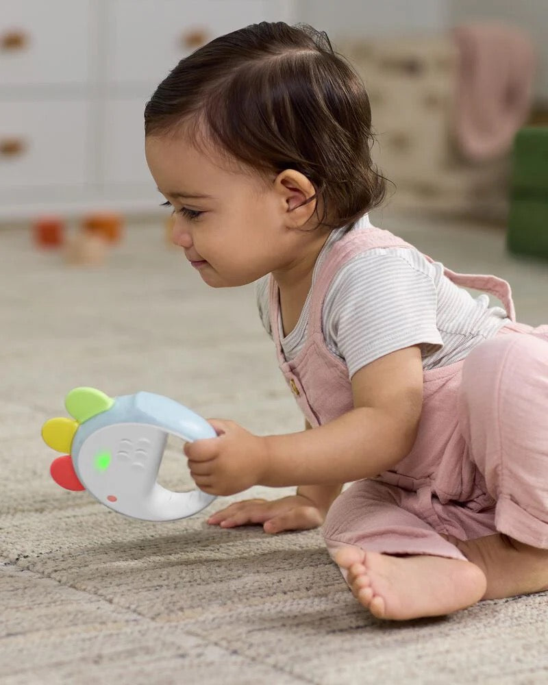 Skip Hop - Farmstand Feelin' Clucky Musical Tambourine Baby Toy