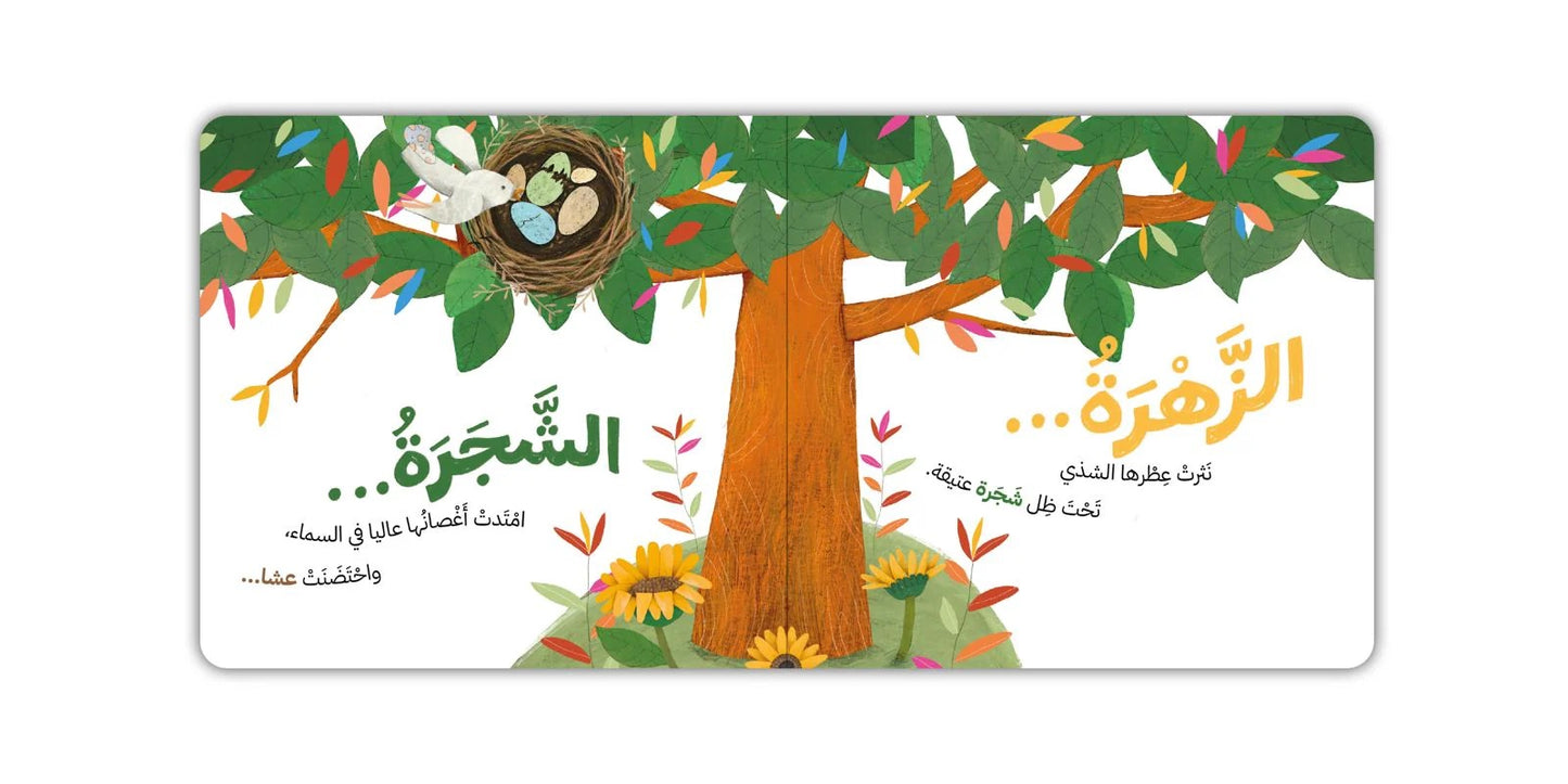 Kalila Wa Dimna خلف النافذة