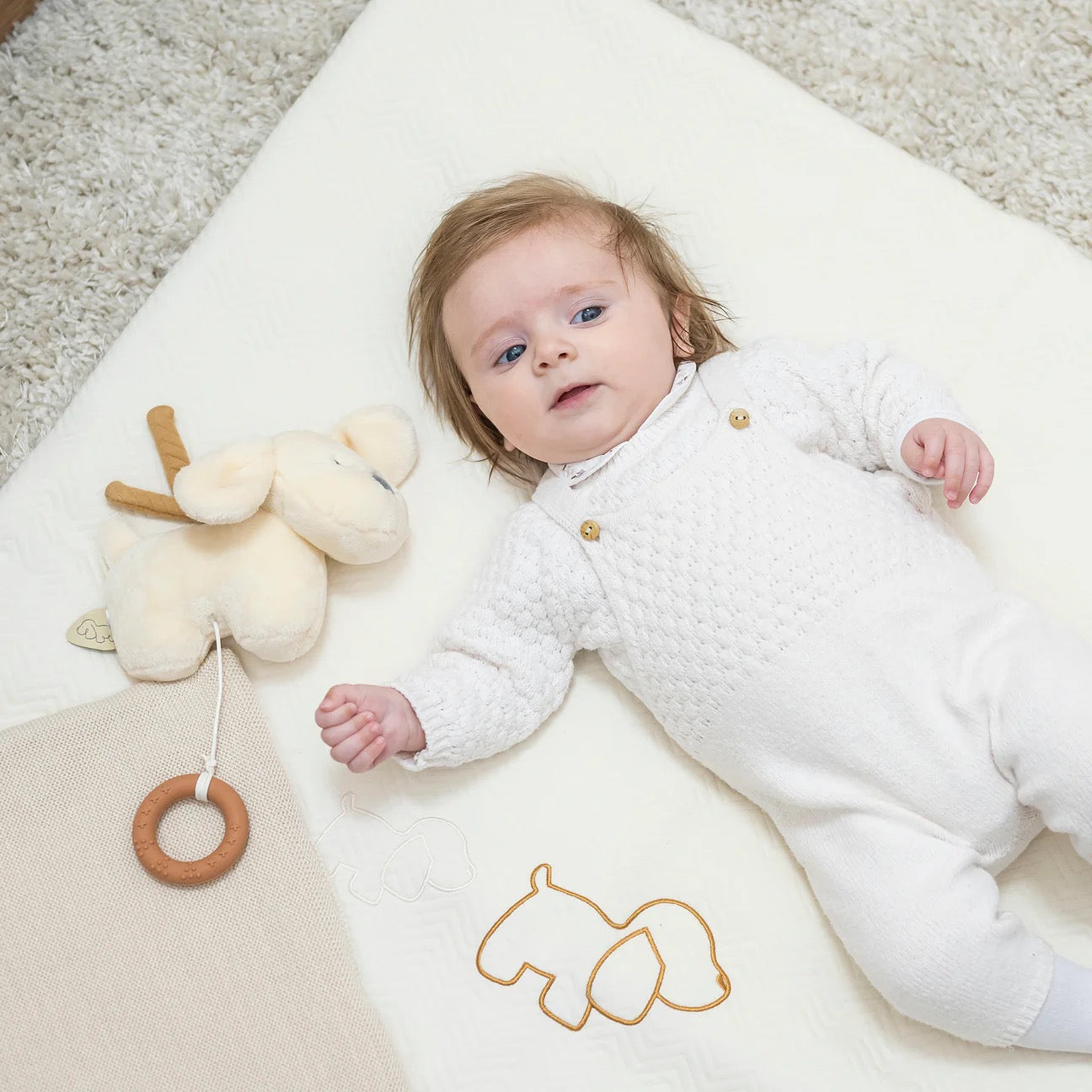 Nattou - Musical Cuddly Dog | Charlie