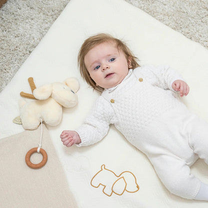 Nattou - Musical Cuddly Dog | Charlie