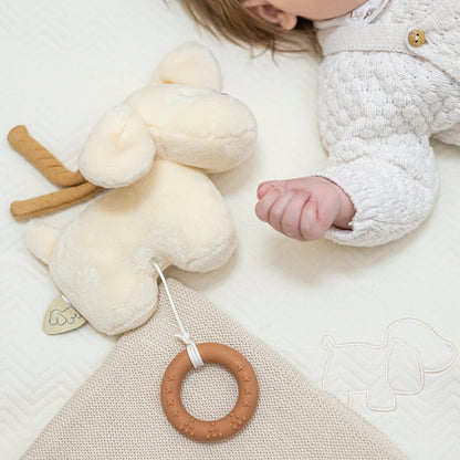 Nattou - Musical Cuddly Dog | Charlie