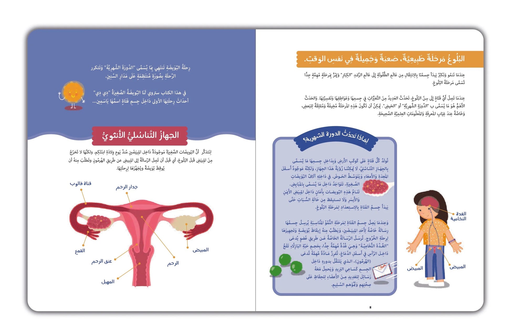 Kalila Wa Dimna دي دي: كتاب عن النمو للفتيات Kalila Wa Dimna دي دي: كتاب عن النمو للفتيات