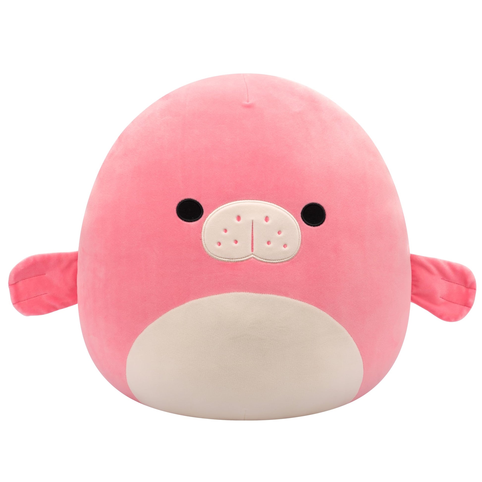 Squishmallows - Little Plush 5 Squishmallows - Little Plush 5