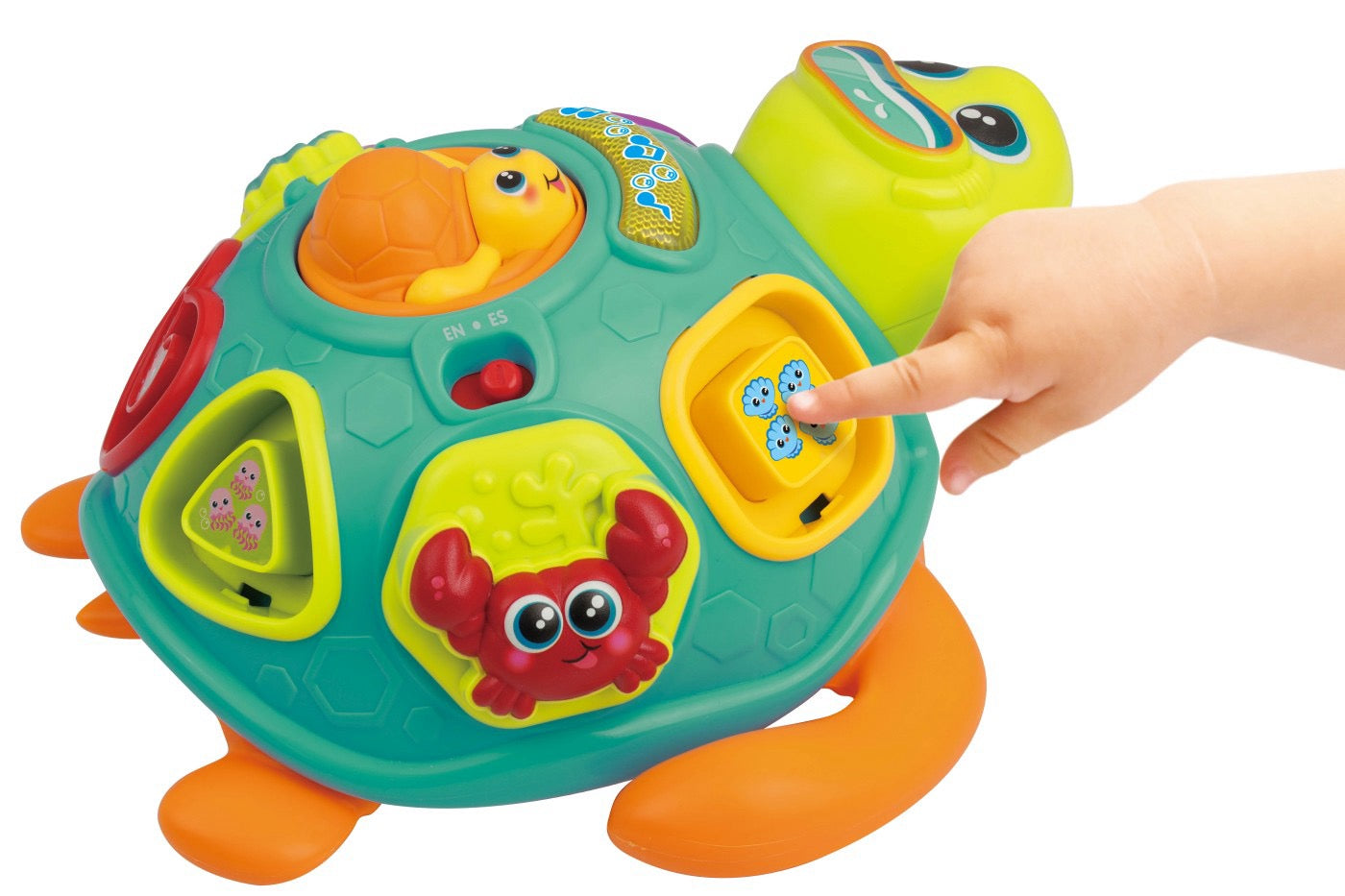 Winfun - Pull Along Sort 'N Learn Turtle | 12m+