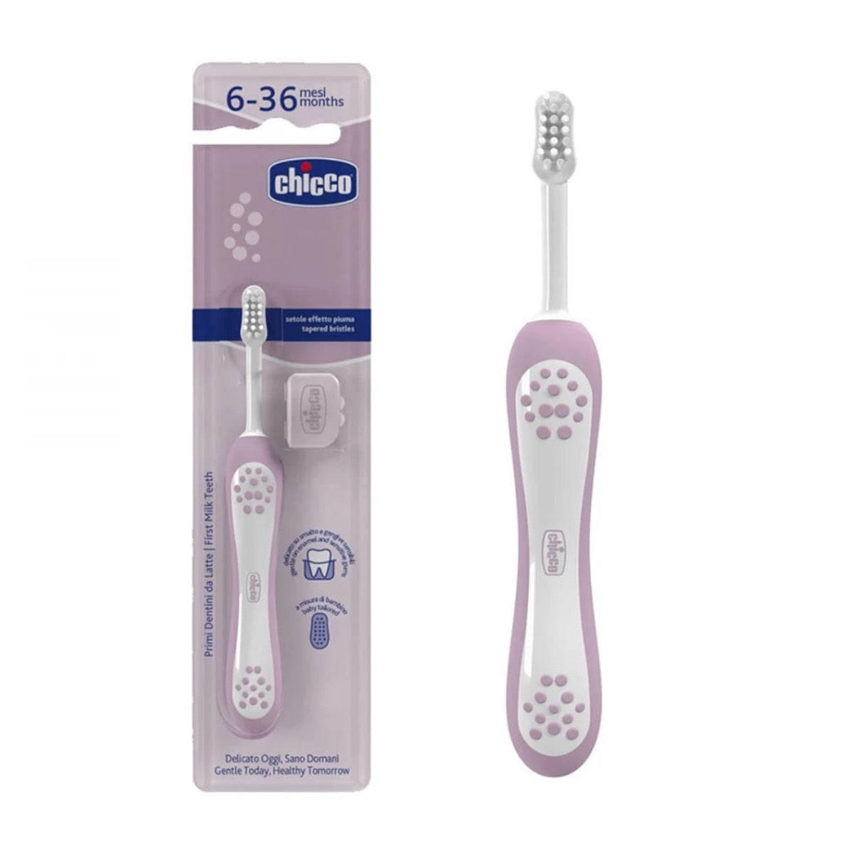 Chicco - Toothbrush First Teeth | Lilac | 6-36m Chicco - Toothbrush First Teeth | Lilac | 6-36m