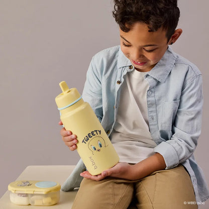 BBox - Insulated Flip Bottle | 1L | Looney Tunes