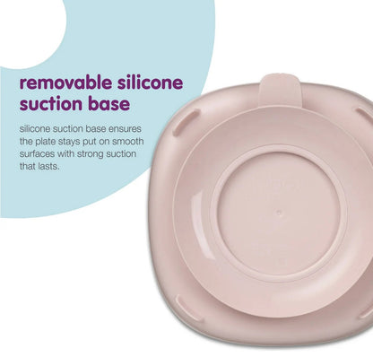 BBox - 2 in 1 Suction Plate with Divider | Blush