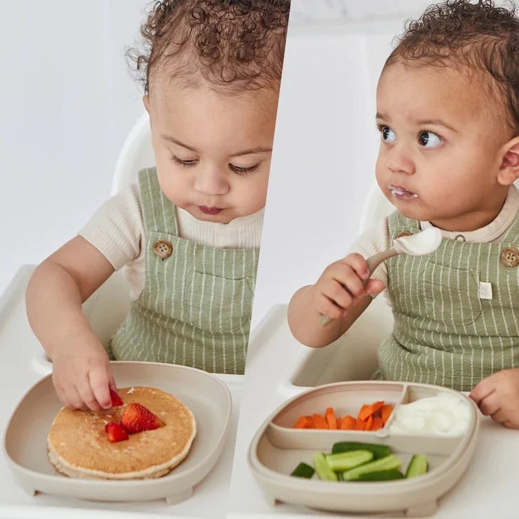 BBox - 2 in 1 Suction Plate with Divider | Blush