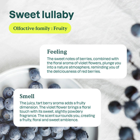 Attitude Baby Bottle & Dishwashing Liquid Sweet Lullaby 700ml — BambiniJO Jordan