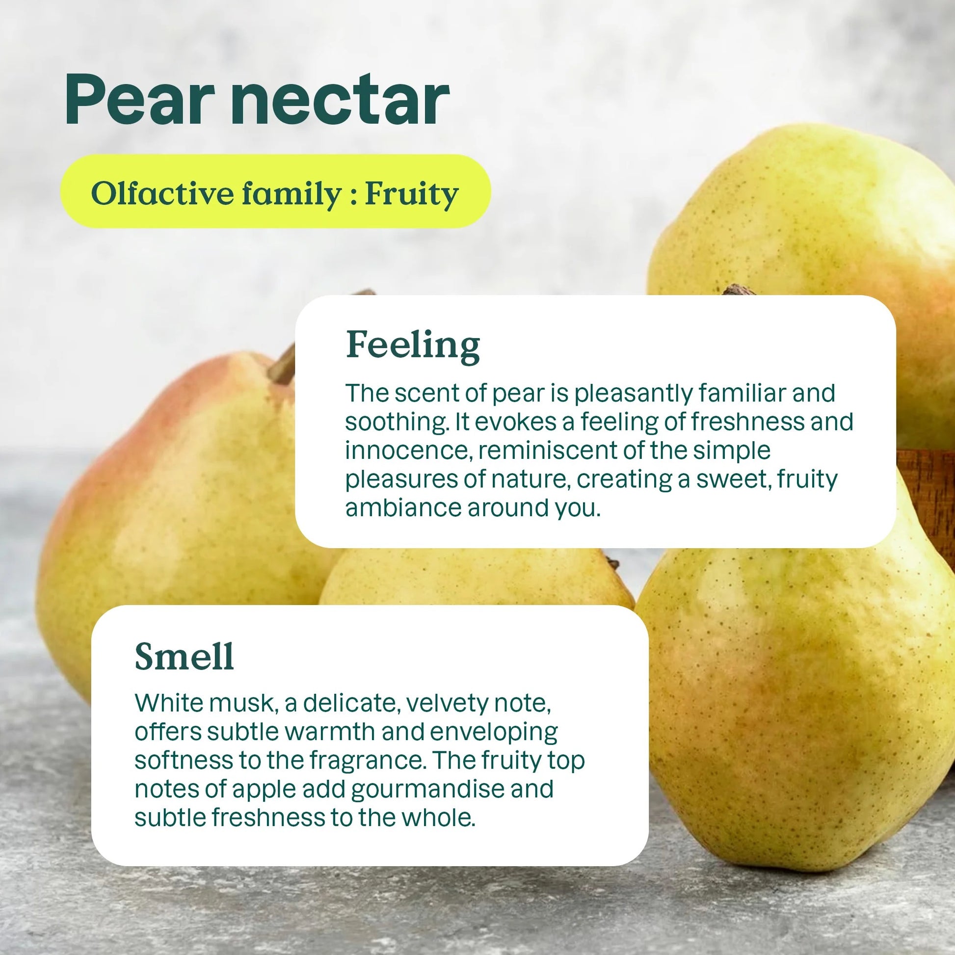 Baby Bottle & Dishwashing Liquid 700ml | Pear Nectar Baby Bottle & Dishwashing Liquid 700ml | Pear Nectar