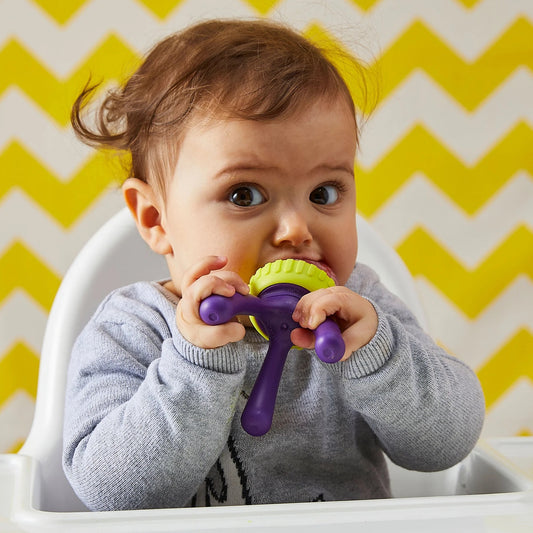 BBOX - Silicone Fresh Food Feeder Passion Splash — BambiniJO Jordan
