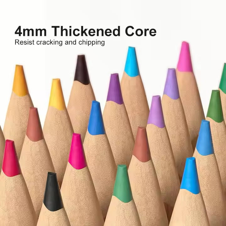 Mideer - Vibrant Colored Pencil | 36 Colors