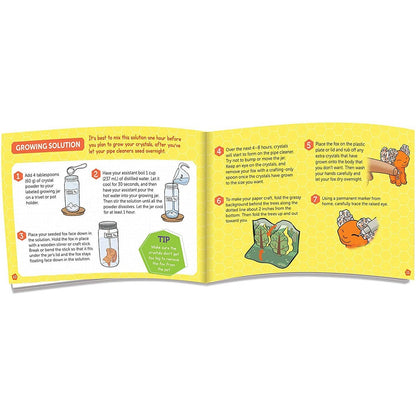 Klutz DIY Grow Your Own Crystal Fox