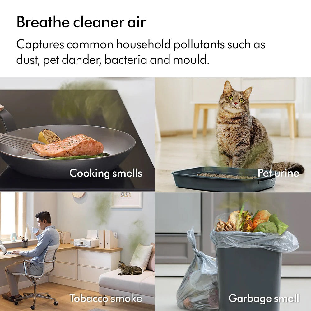 Dyson Purifier Cool TP11 Air Purifier White/Silver — BambiniJO Jordan