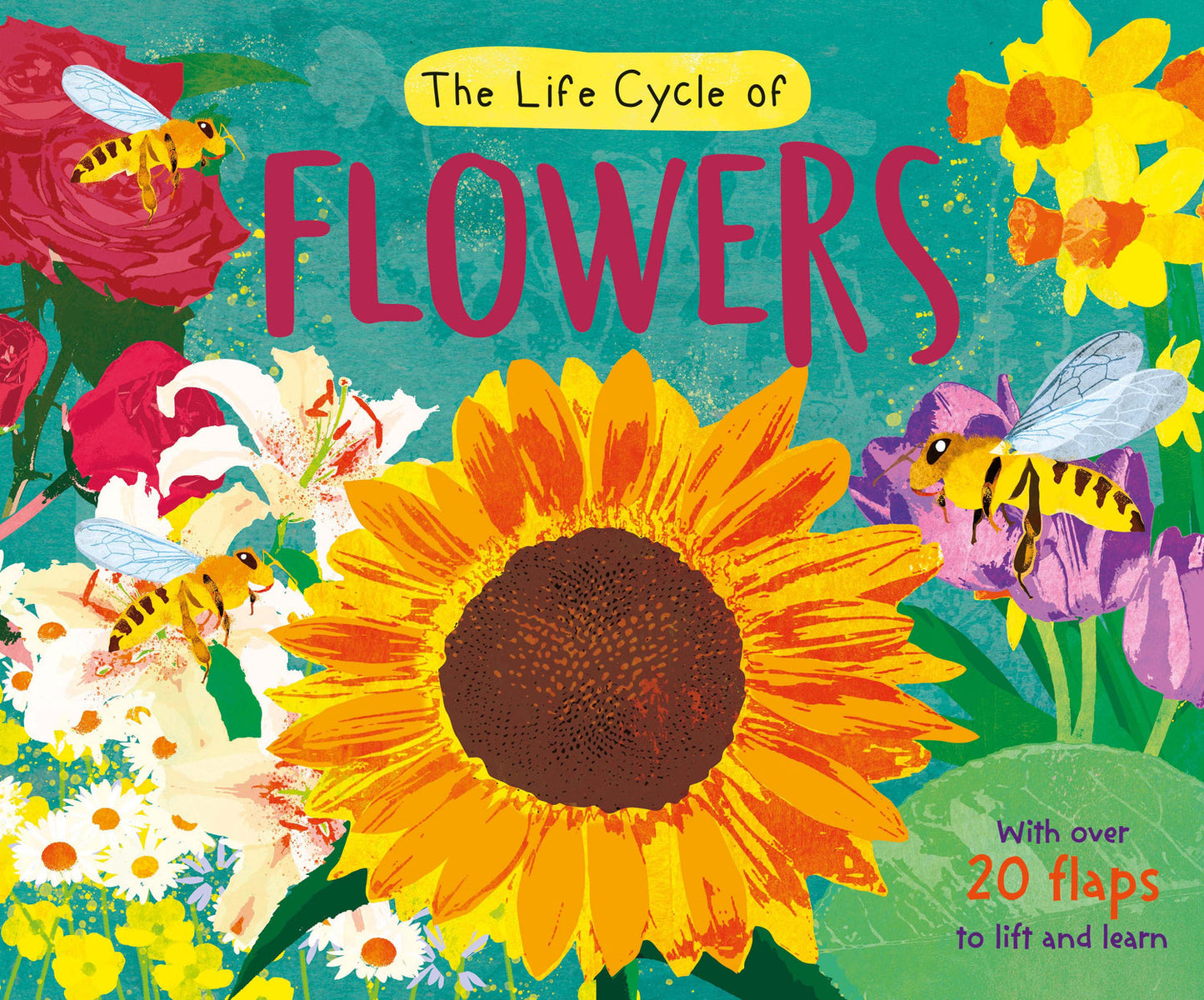 North Parade - Life-Cycle Book: Flowers | 3-6Y
