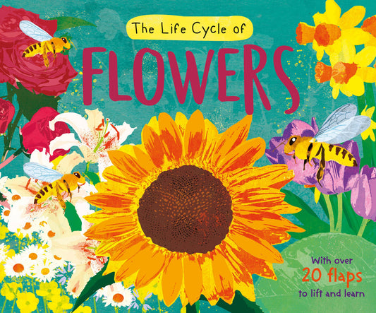North Parade - Life-Cycle Book: Flowers