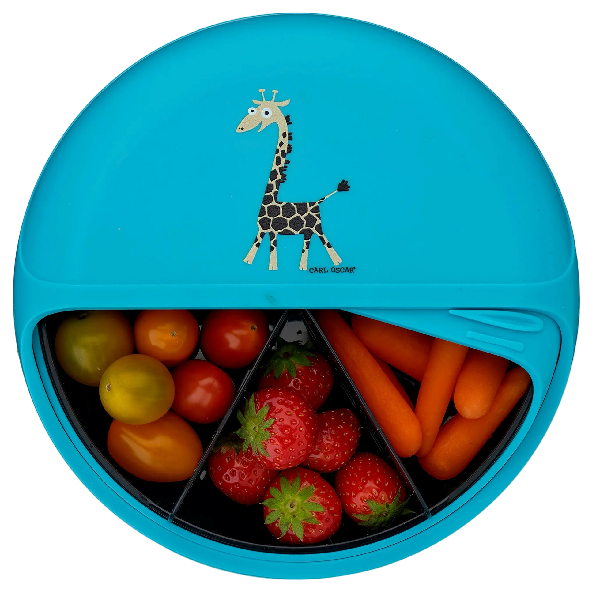 Carl Oscar - BentoDISC | Turquoise Giraffe Carl Oscar - BentoDISC | Turquoise Giraffe