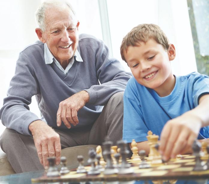 Ambassador - Chess Basic | Classic Board Games