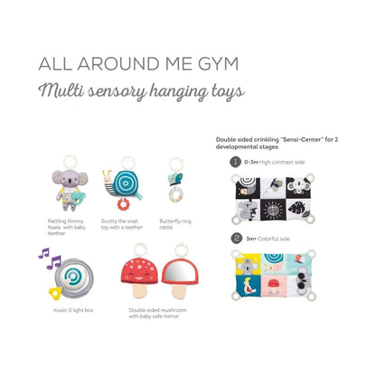Taf Toys - All Around Me Play Gym