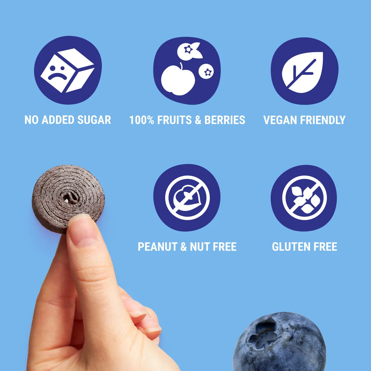 Bob Snail Fruit Roll Apple & Blueberry 100g — BambiniJO Jordan
