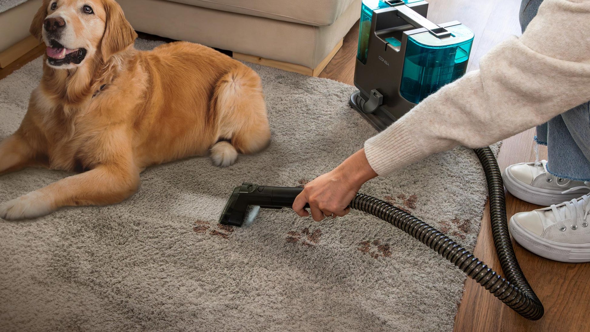 Cecotec Conga 3000 CarpetClean upholstery cleaner