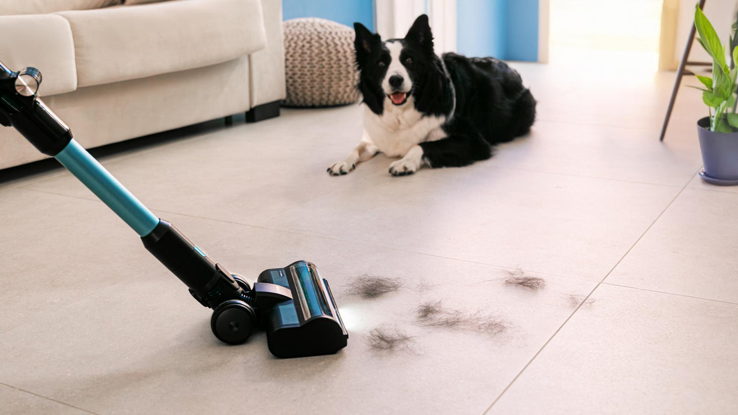Cecotec Conga Rockstar 3500 Storm Pet Flex vacuum