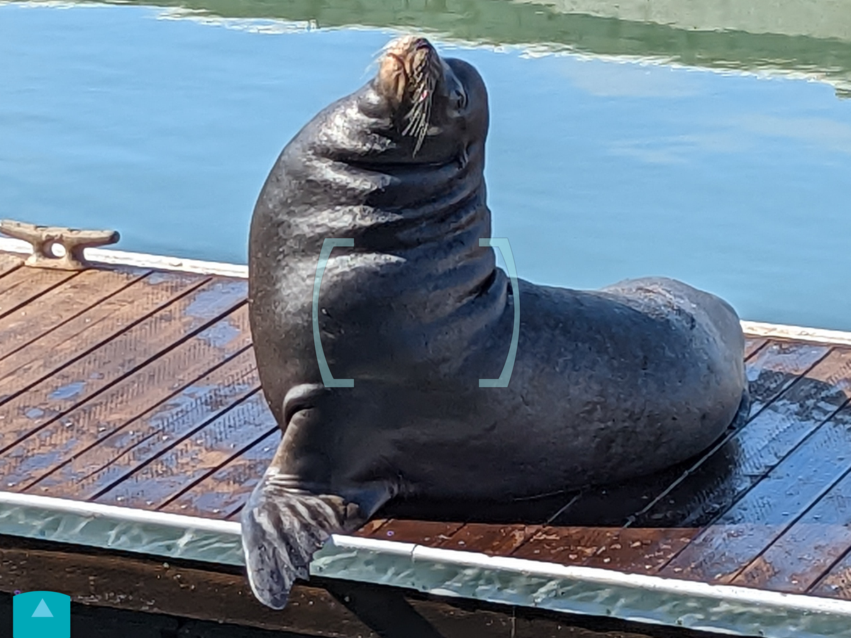 LeapFrog Magic Adventures Binocular Camera