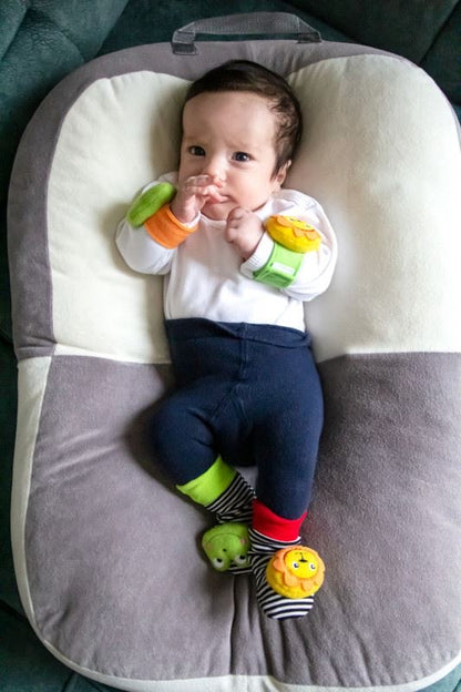 BabyJem - Wrist Rattle & Baby Socks Lion & Frog