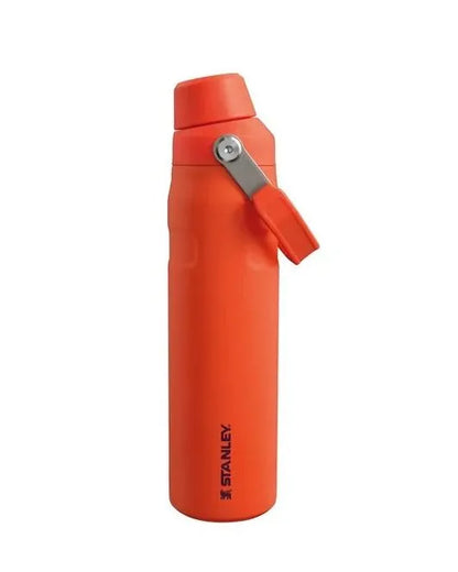 Stanley Aerolight Iceflow Fast Flow Bottle 0.6L - Tigerlily Plum, hero