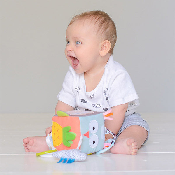 Taf Toys - Activity Toy Developmental Cube - BambiniJO | Buy Online | Jordan