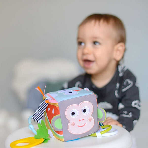 Taf Toys - Activity Toy Developmental Cube - BambiniJO | Buy Online | Jordan
