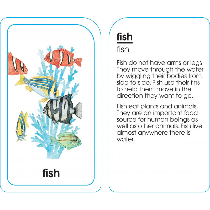 Animals of All Kinds - Flash Cards - BambiniJO