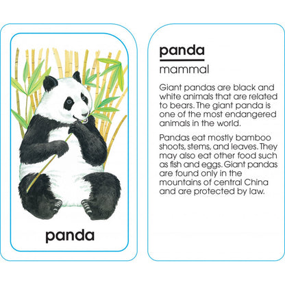 Animals of All Kinds - Flash Cards - BambiniJO