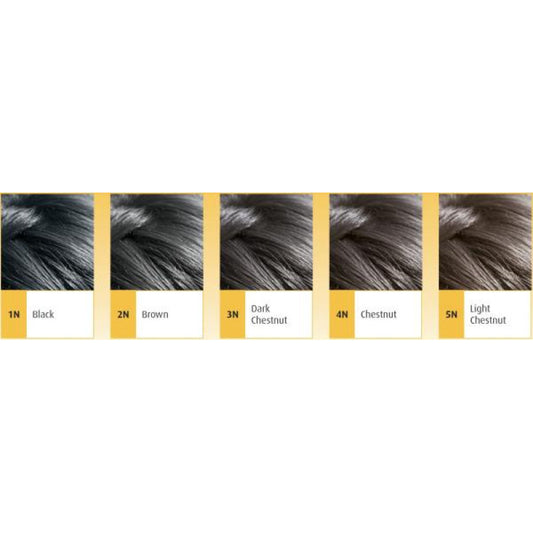 Pregnancy Safe AMONIA FREE "Hair Color" - 3N Dark Chestnut 150ml — BambiniJO Jordan