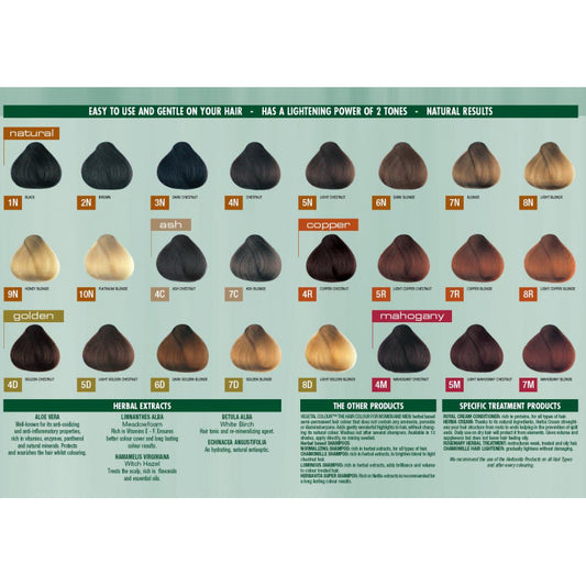 Pregnancy Safe AMONIA FREE "Hair Color" - 5D Light Golden Chestunt 150ml — BambiniJO Jordan