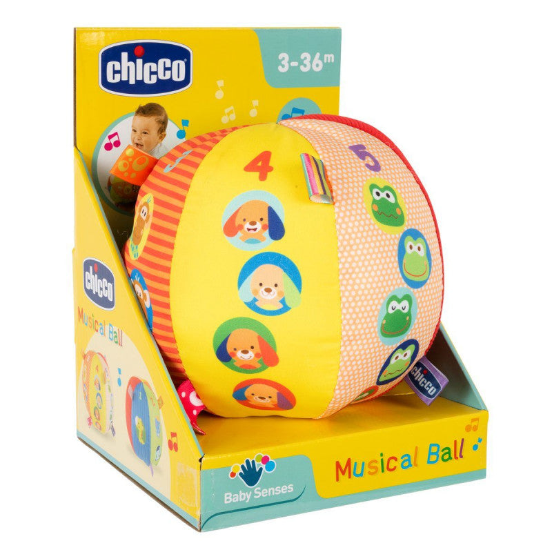 Chicco - Toy Musical ball - BambiniJO | Buy Online | Jordan
