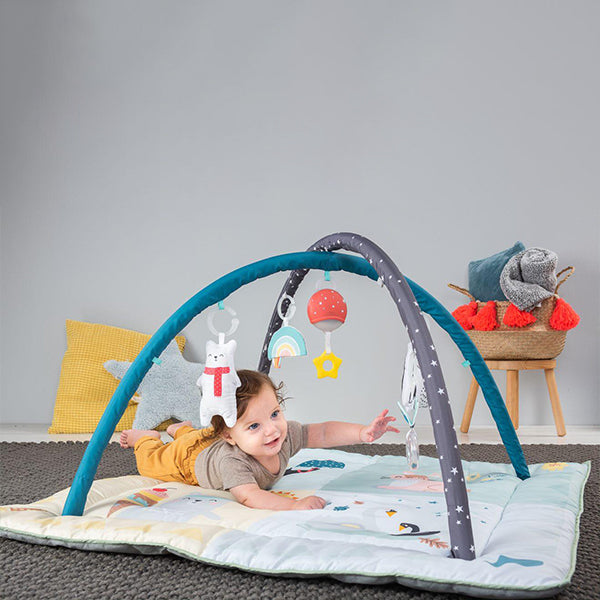 Taf Toys - Play Gym North Pole 4 Season Taf Toys - Play Gym North Pole 4 Season