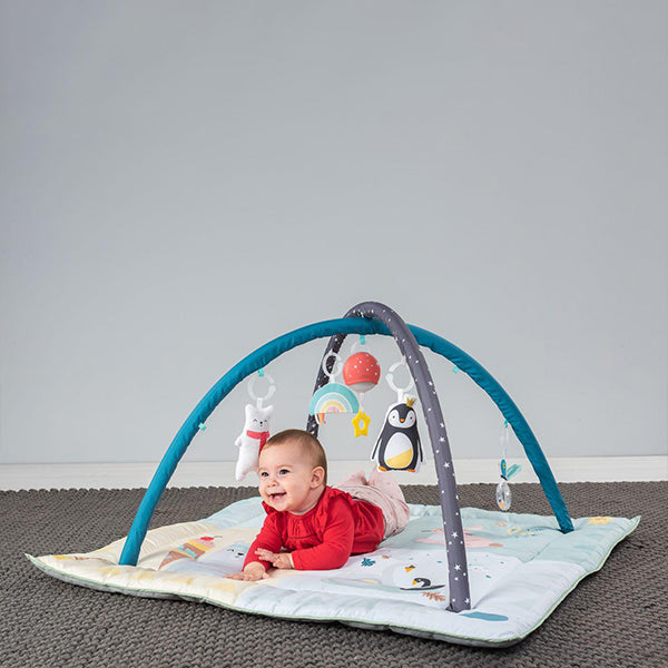 Taf Toys - Play Gym North Pole 4 Season Taf Toys - Play Gym North Pole 4 Season