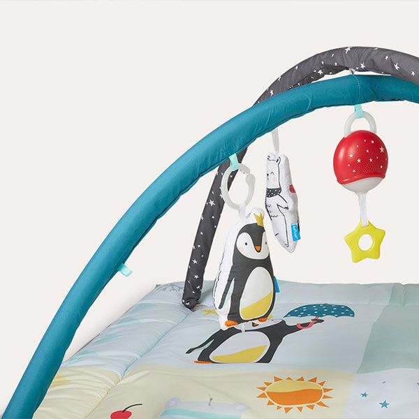 Taf Toys - Play Gym North Pole 4 Season Taf Toys - Play Gym North Pole 4 Season