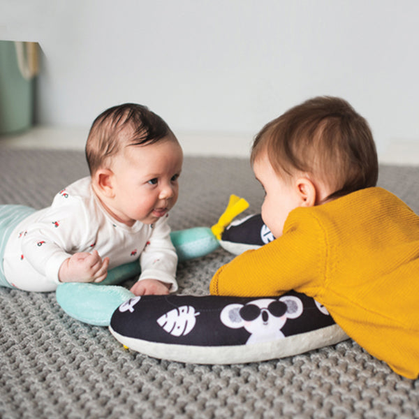 Taf Toys - 2 in 1 Tummy Time Pillow Taf Toys - 2 in 1 Tummy Time Pillow