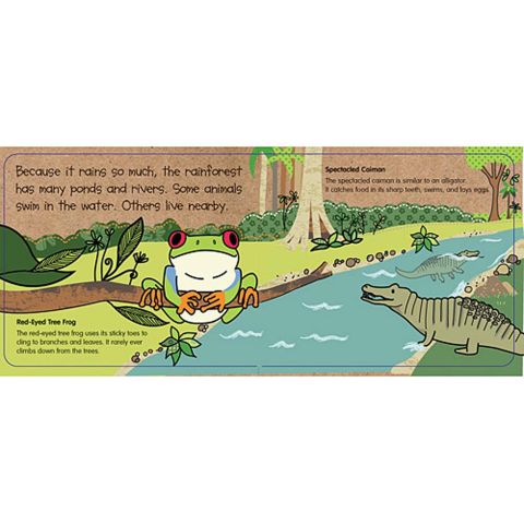 iKids - In the Rainforest Board Book and Puzzle Set - BambiniJO