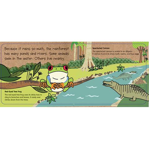 iKids - In the Rainforest Board Book and Puzzle Set iKids - In the Rainforest Board Book and Puzzle Set