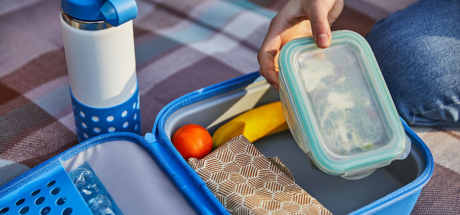 Hydro Flask - SMALL INSULATED LUNCH BOX Hydro Flask - SMALL INSULATED LUNCH BOX