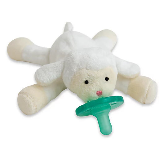 Sensory Pacifier & Teether Holder with Silicone Pacifier Sensory Pacifier & Teether Holder with Silicone Pacifier